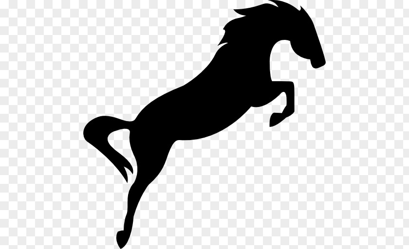 Elegan Horses & Jumping Equestrian Show PNG