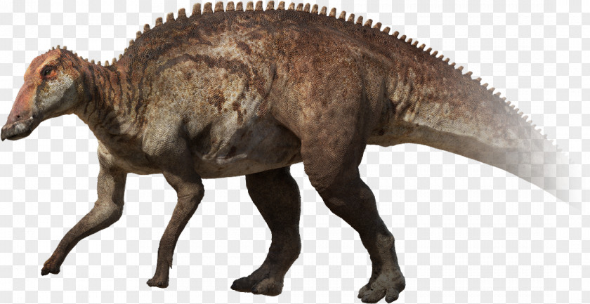 Knocked Over The Particles Stegosaurus Pachyrhinosaurus Parksosaurus Late Cretaceous Edmontosaurus Annectens PNG