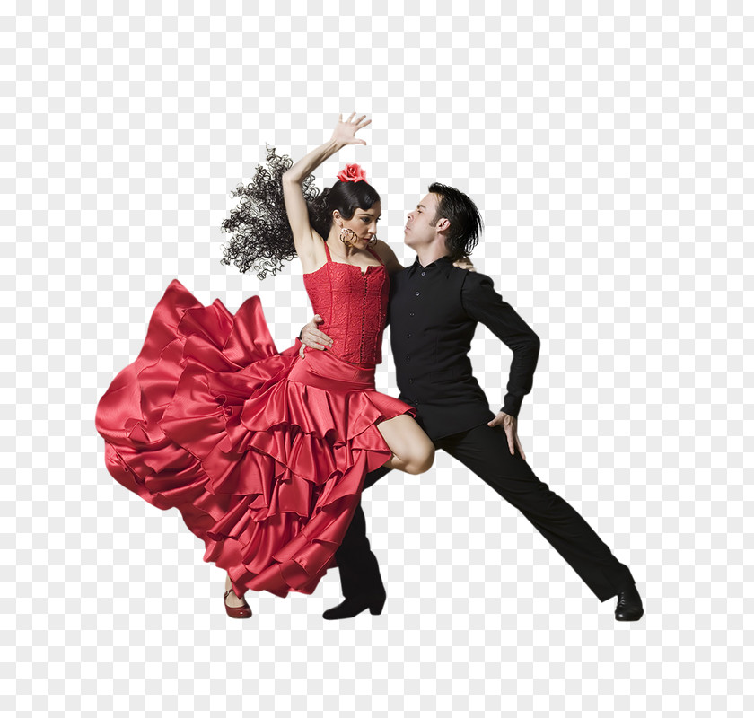 Passion Flamenco On The Global Stage: Historical, Critical And Theoretical Perspectives Flamenco! Dance Book PNG