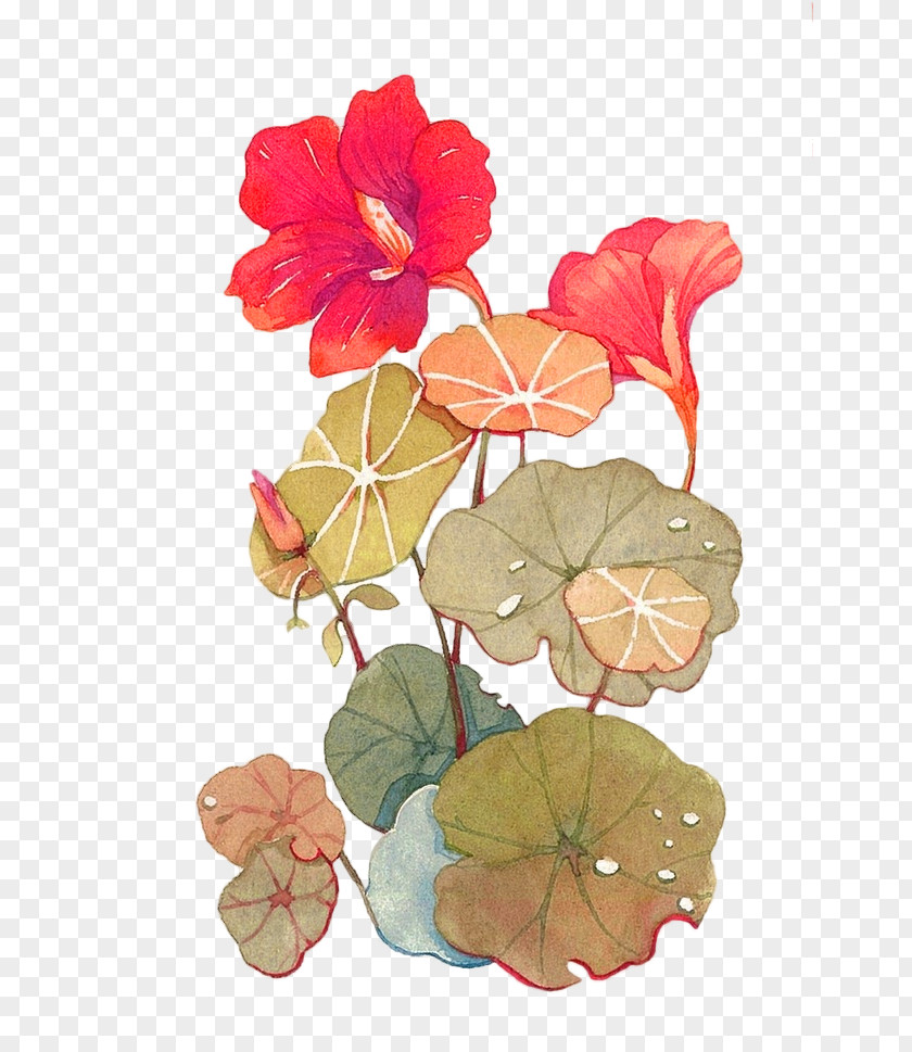 Red Fresh Lotus Decoration Pattern Flower Illustration PNG