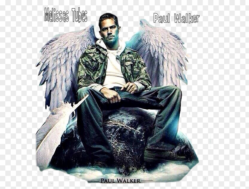 Actor Death The Fast And Furious Funeral PNG
