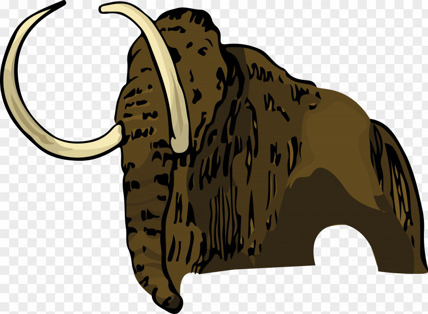 Archie Clayton Middle School Indian Elephant African Nebraska Cattle PNG