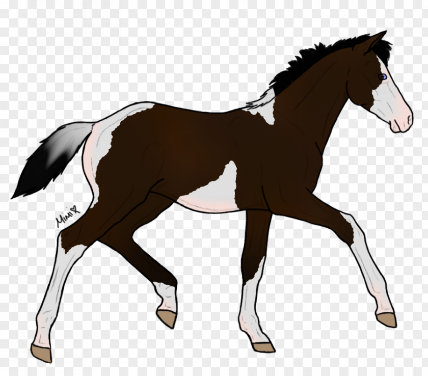 Autumn Indulgence Foal Pony Mustang Stallion Drawing PNG