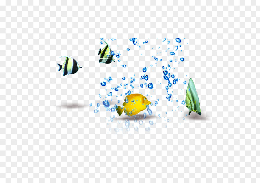 Fish In The Water PNG