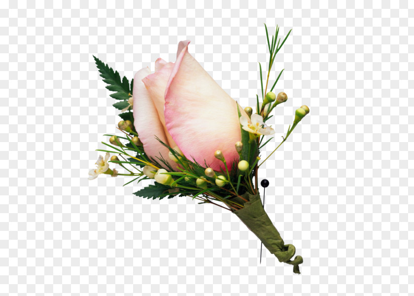 Flower Rose Floral Design Desktop Wallpaper PNG