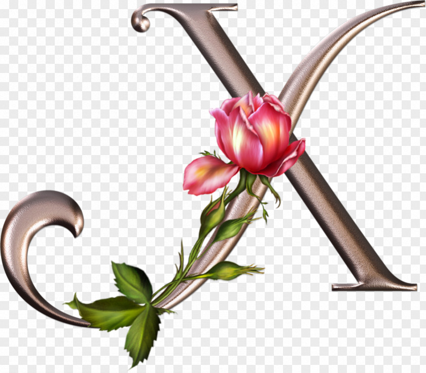 Rose Floral Design Letter Alphabet Flower PNG