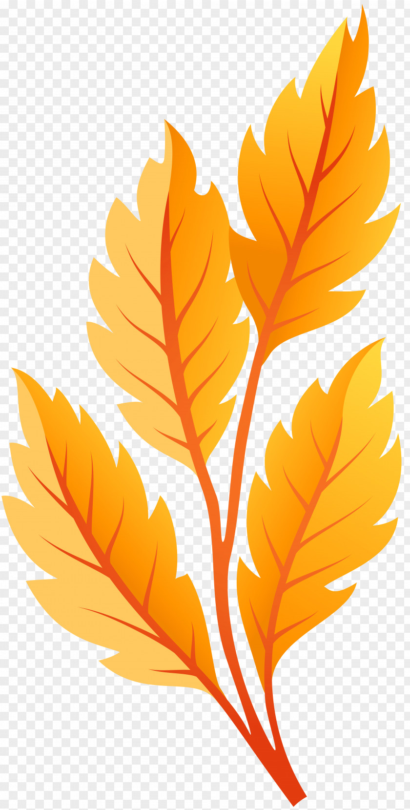 Leaf Watercolor Autumn Color Clip Art PNG