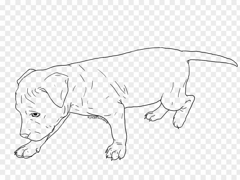Pitbull American Pit Bull Terrier Puppy Line Art PNG