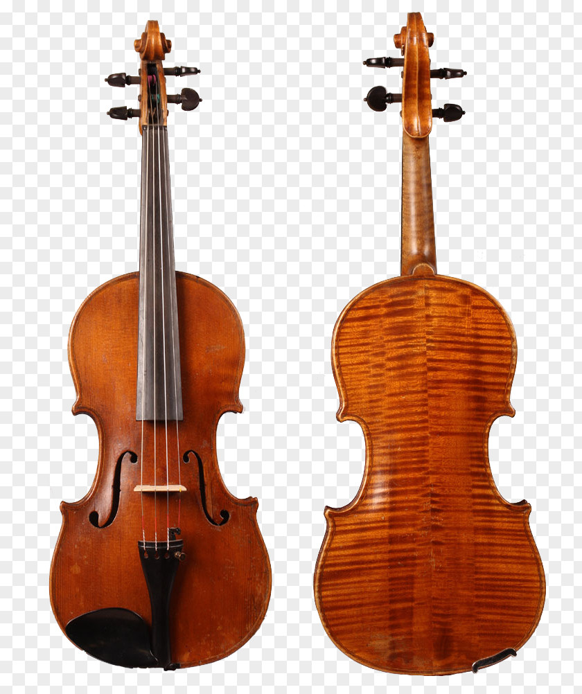 Violin Ukulele Steel Guitar Concert Acoustic String Instruments PNG