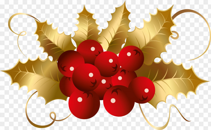 Christmas Holly Illustration Material Photography Clip Art PNG