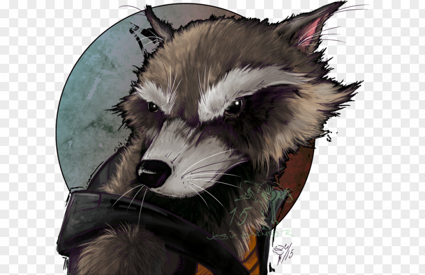 Rocket Raccoon Snout Fur Animal Carnivora PNG