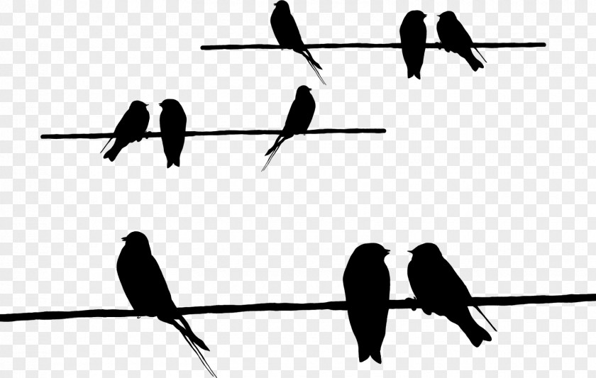 Silhouette Barbed Wire Beak Feather Font PNG