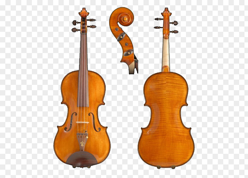 Violin Electric Viola Cello Double Bass PNG