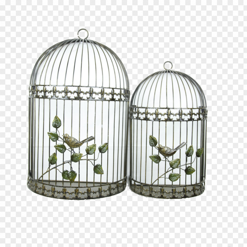Birdcages And Birds Birdcage Wall Metal Shelf PNG