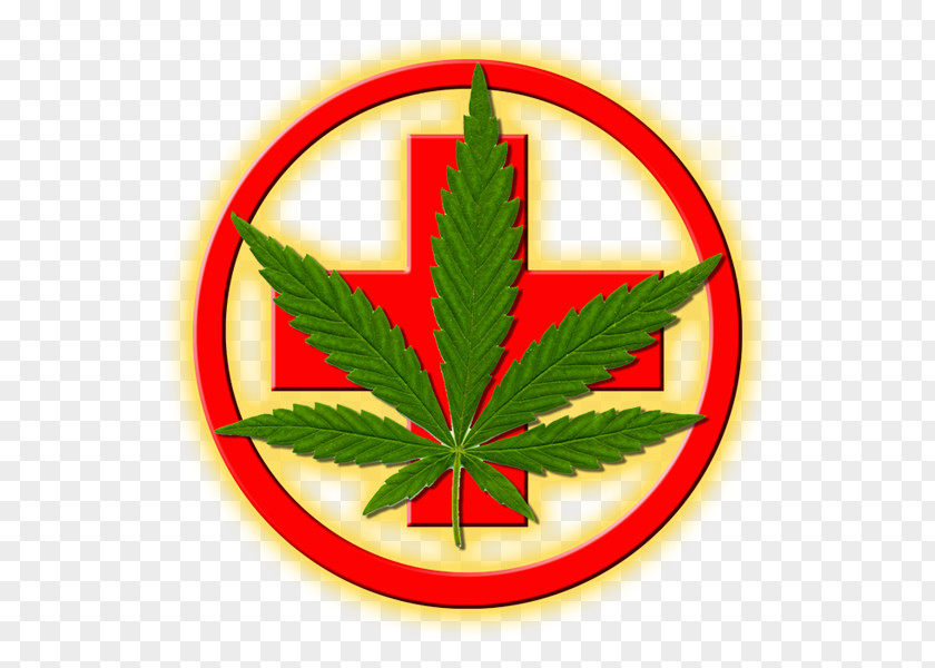 Cannabis Medical Nimbin MardiGrass 2018 Medicine PNG
