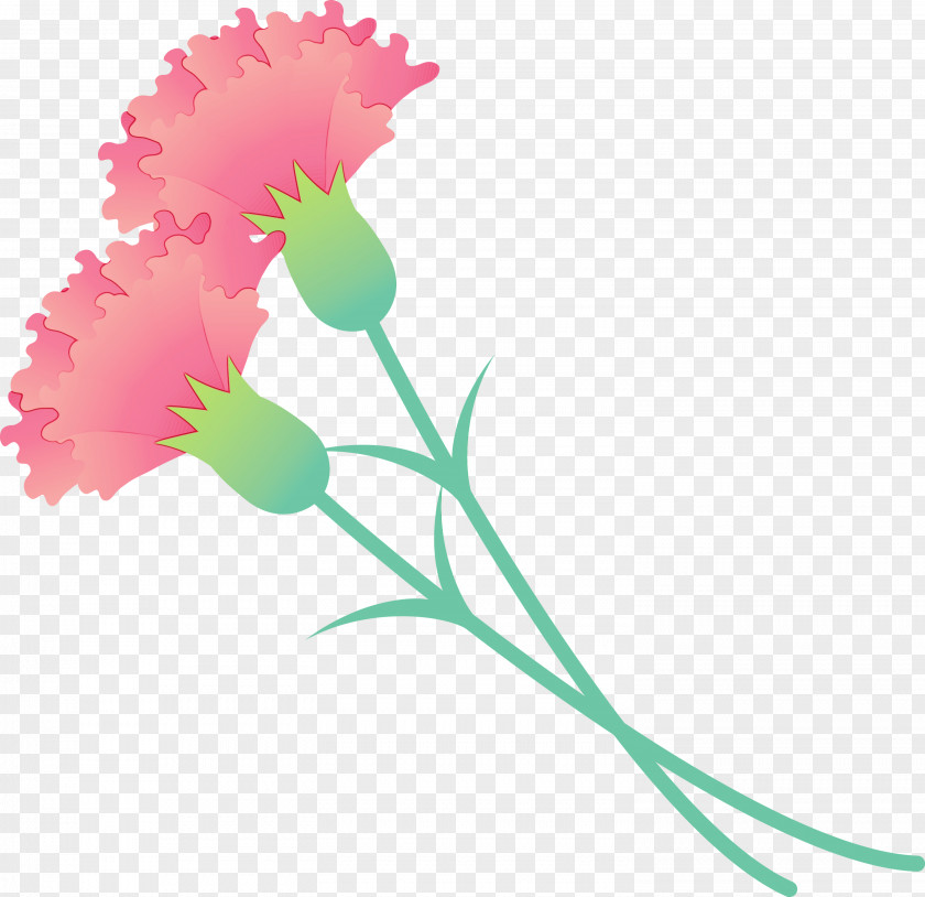 Flower Pink Plant Pedicel Cut Flowers PNG