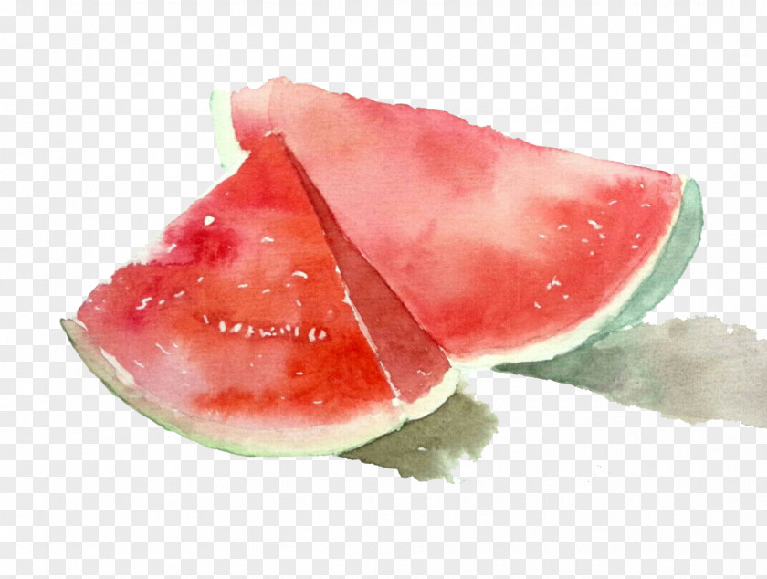 Hand-painted Watermelon Drawing Painting PNG