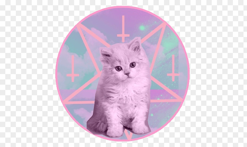 Ice Explosion Kitten Cat Satanism Devil PNG