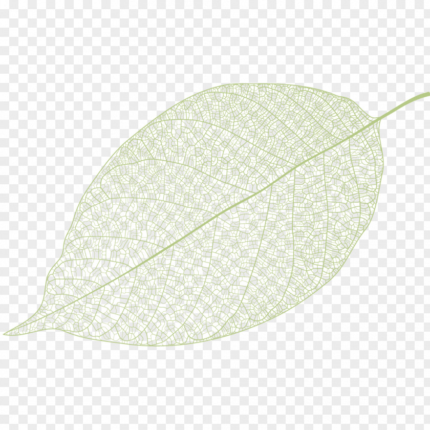 Leaf Veins Pattern PNG