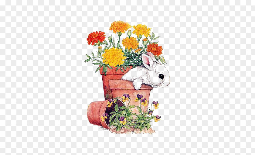 Pots And Rabbits Holland Lop Easter Bunny Hare I Love Bunnies Rabbit PNG