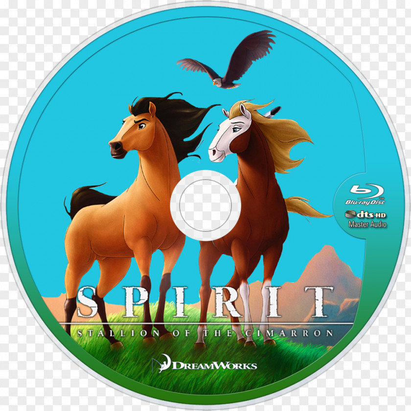 Spirit Stallion Horse YouTube DreamWorks Animation Film PNG