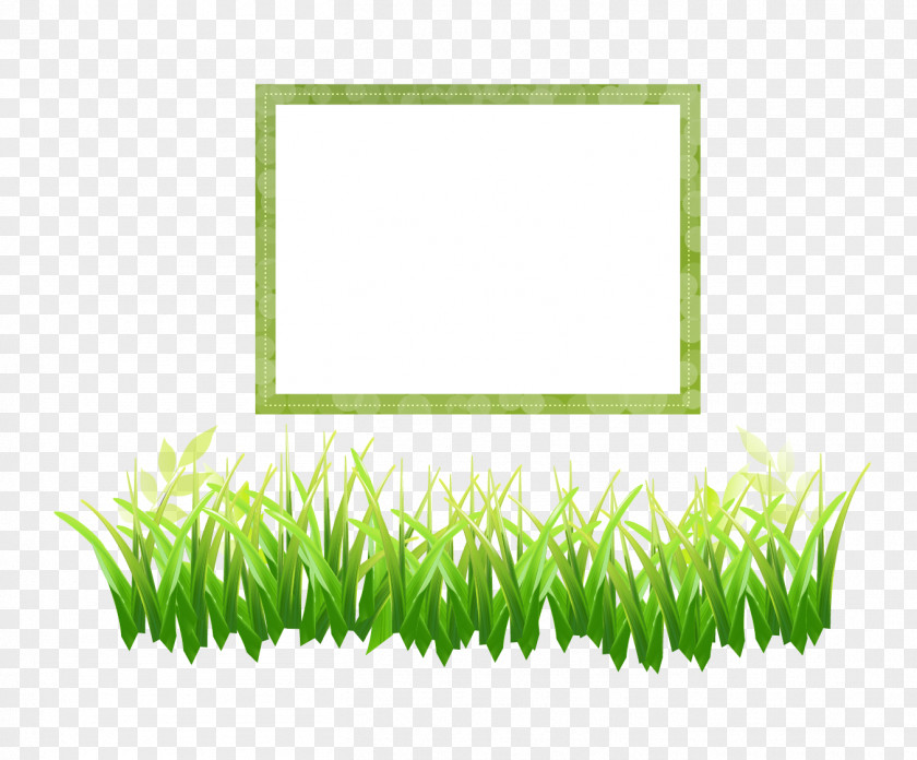 Vector Grass Border Euclidean Herbaceous Plant PNG