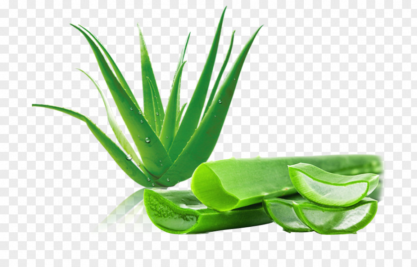 Vera Aloe Aloin Leaf Gel PNG