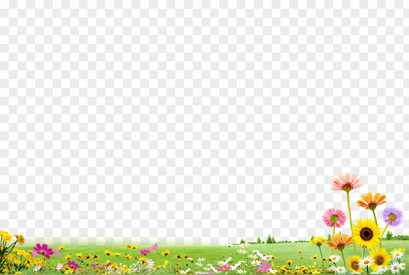 Garden Lawn Download PNG