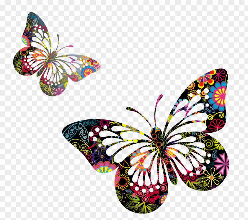 Butterflies Vector Picture Butterfly Drawing Painting Wallpaper PNG