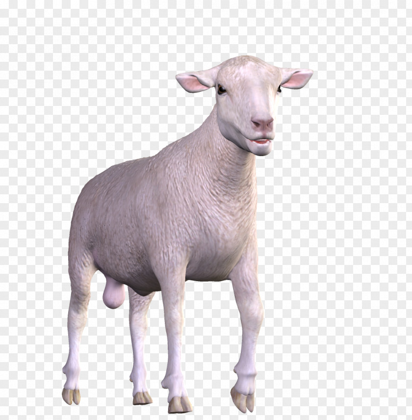 Goat Animal Easter PNG