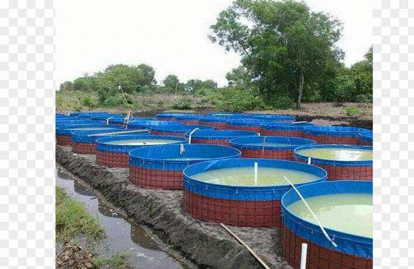 Gurame Sabar Jaya Pond Bukalapak Swimming Pool Iqbal Tenda PNG