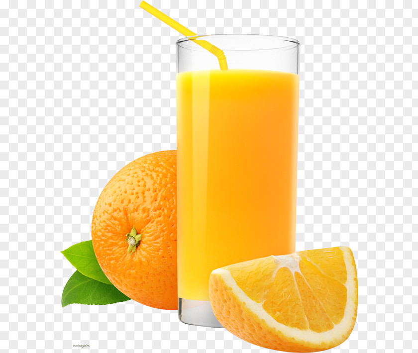 Juice Orange Drink Fizzy Drinks Soft PNG