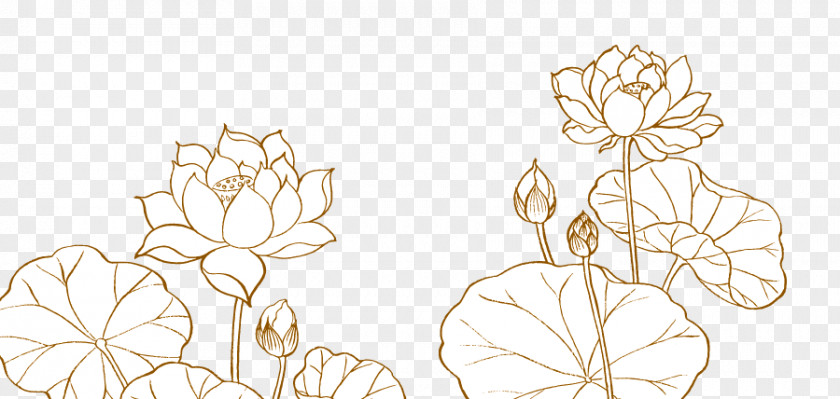 Lotus Line Pattern Drawing PNG