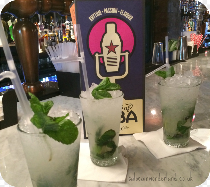 Mojito Distilled Beverage Mint Julep Cocktail Rebujito PNG