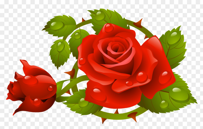 Rose Floral Design Flower PNG