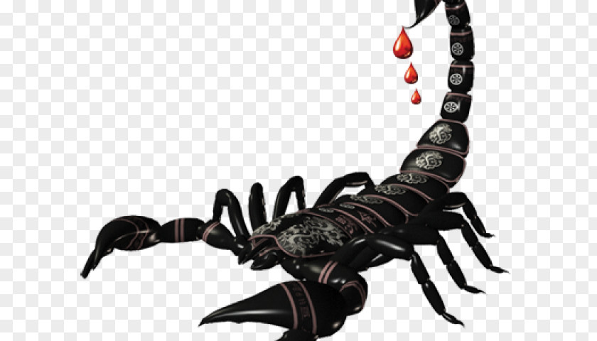 Scorpion Sting Clip Art PNG