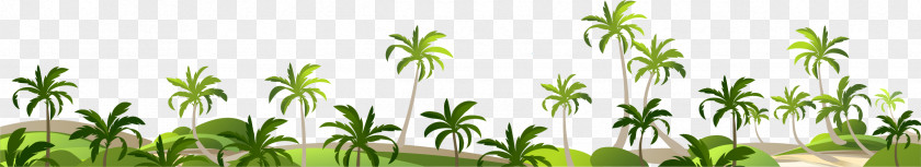 Seaside Coconut Tree Decoration Borders Adobe Illustrator PNG