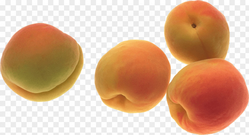 Apricot Fruit Food PNG
