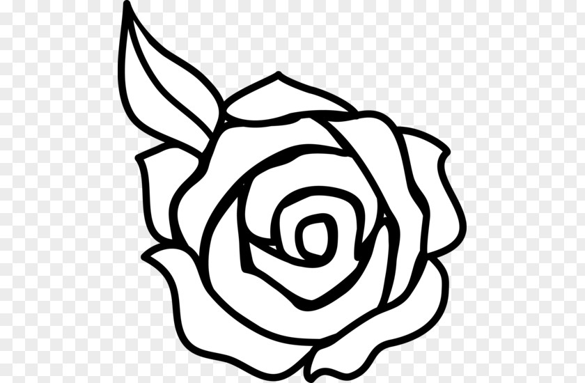 Black And White Rose Drawing Outline Clip Art PNG