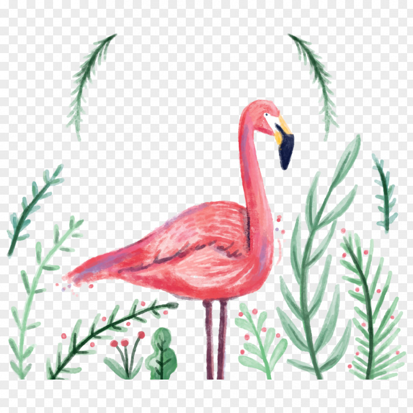 Cartoon Ostrich Flamingo Wedding Invitation Wallpaper PNG