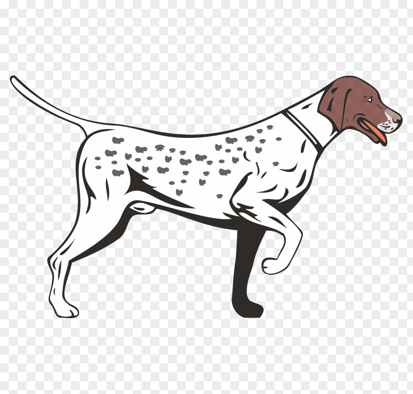 German Shorthaired Pointer Longhaired Vizsla Wirehaired PNG