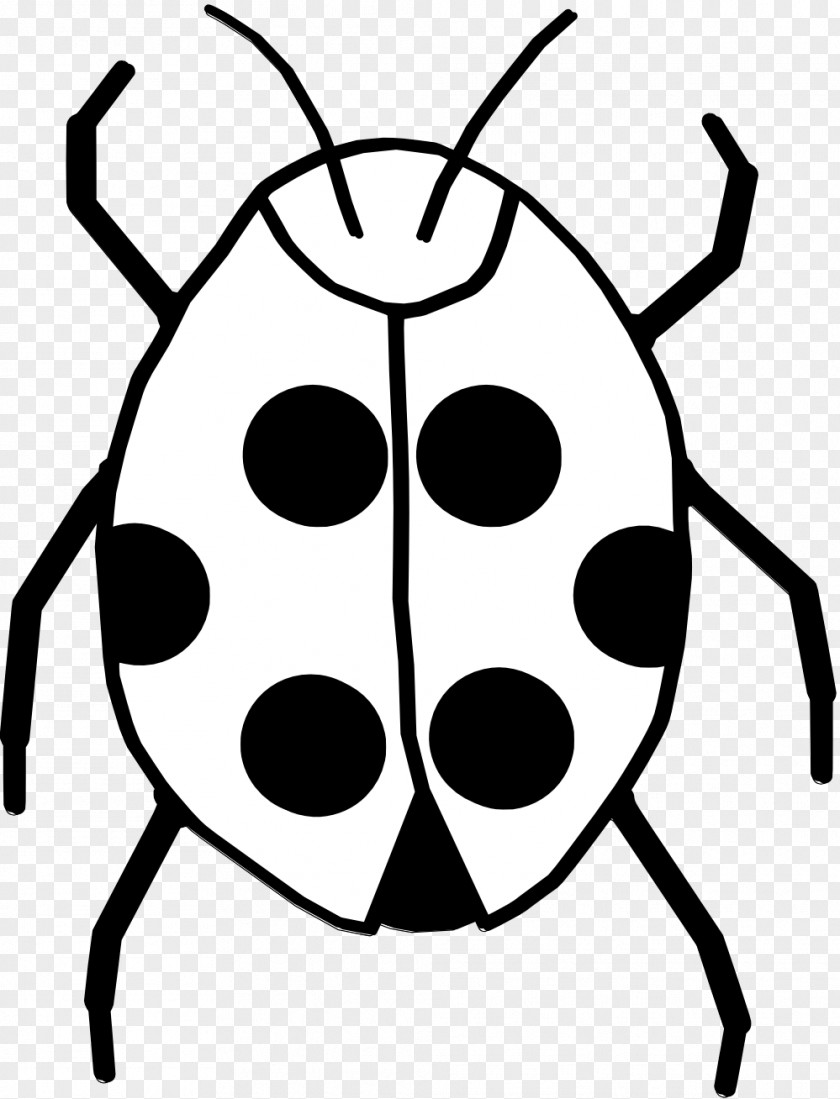 Jewel Bugs Symmetry Ladybird PNG