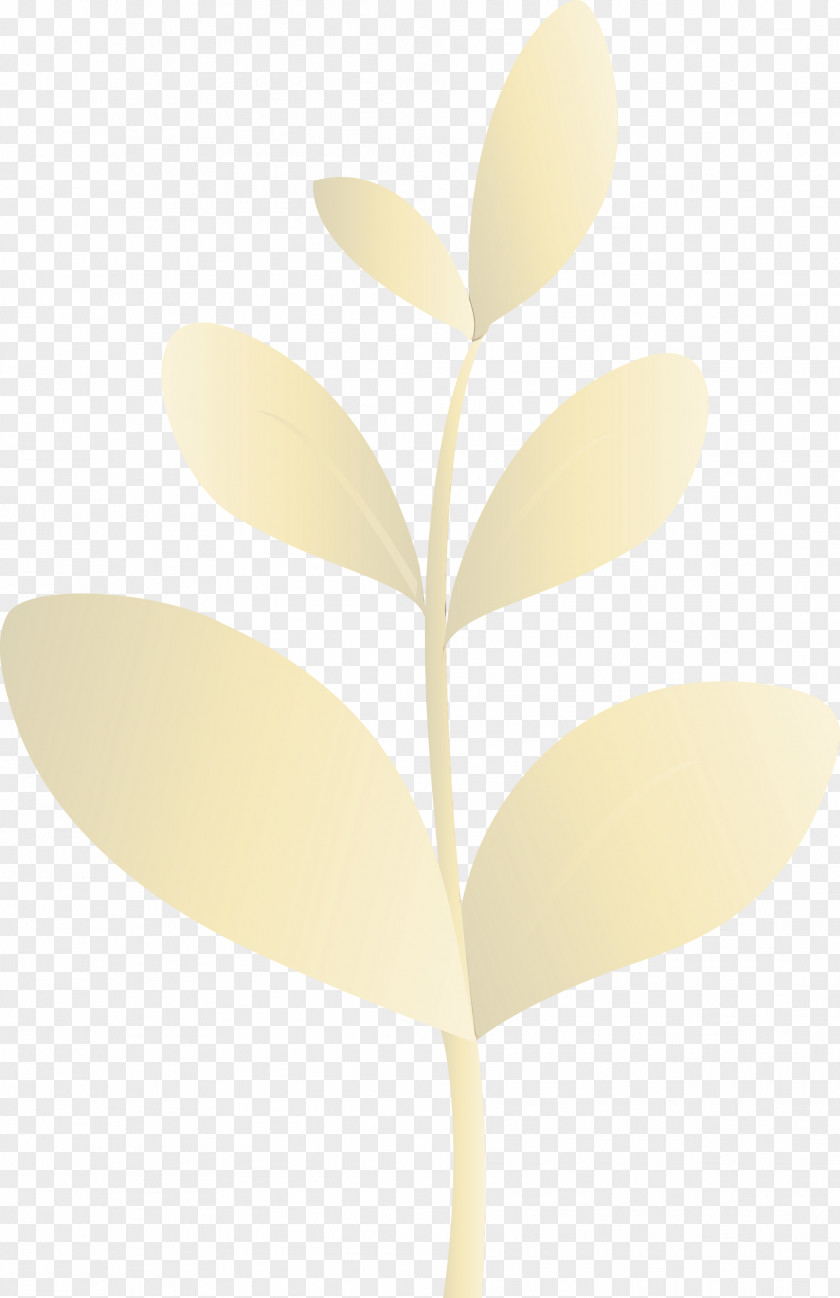 Leaf Yellow Plant Tree Beige PNG