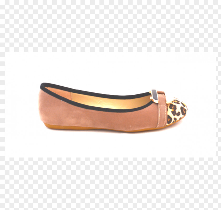 Sandal Ballet Flat PNG