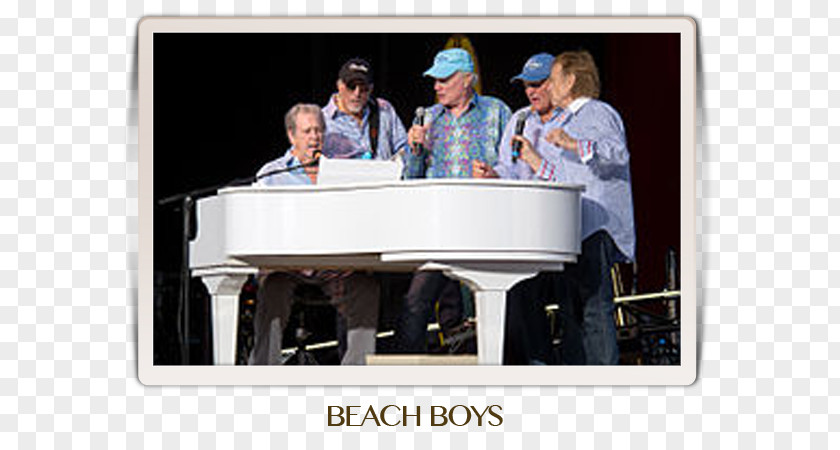 Single Boy The Beach Boys Concert Song Musician Album PNG