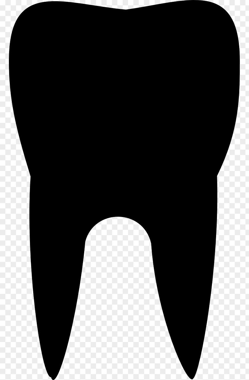 Teeth Brushing Tooth Molar Clip Art PNG