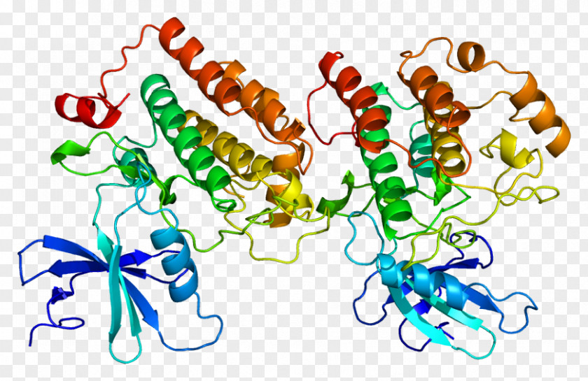 Casein Kinase 1 K-Casein Protein CSNK1D PNG