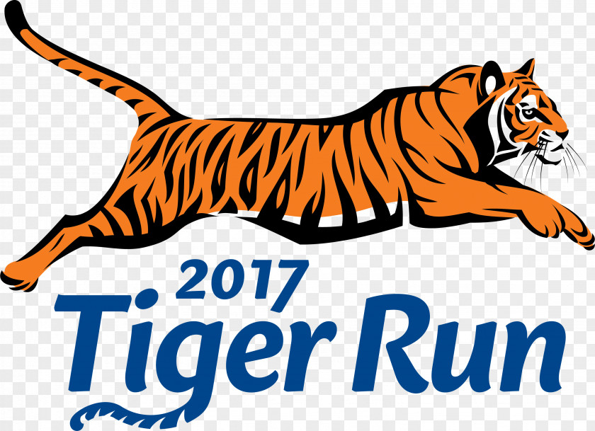 Colorful Run Newport Mill Middle School Buck Lodge Tiger 2017 PNG