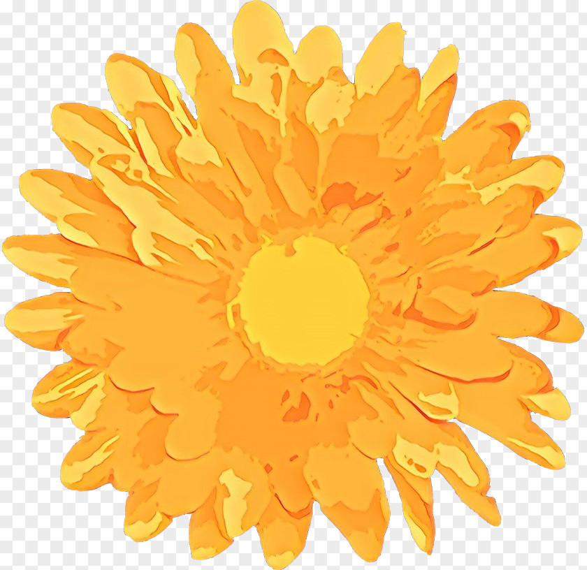 Pollen Daisy Family Flowers Background PNG