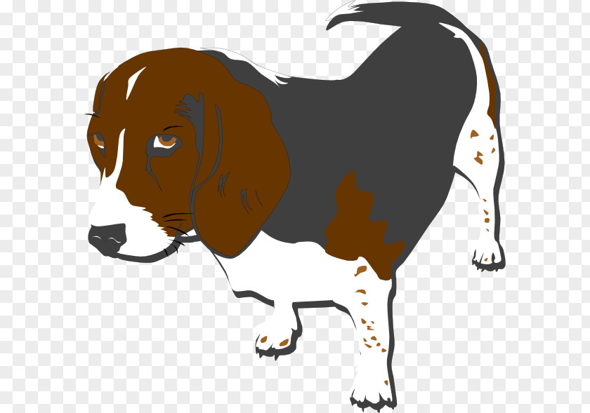 Puppy Portuguese Water Dog Beagle Clip Art Papillon PNG